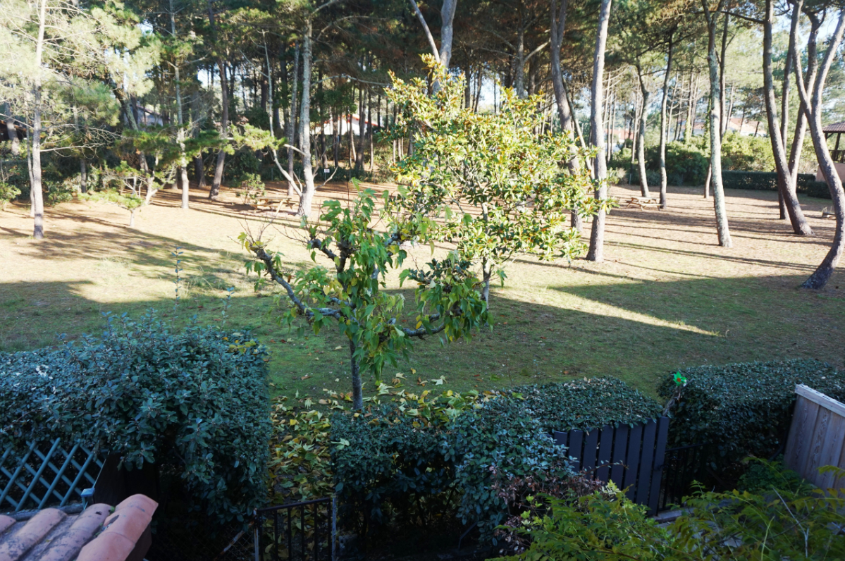 Louer une maison pour 4 personnes dans le centre ville de biscarrosse plage