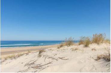 Appartement d'une chambre en rez de chaussée à vendre à Biscarrosse Plage