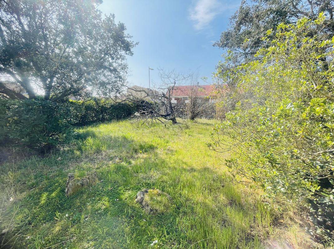 À vendre : terrain à bâtir de 410 m² proche de l'océan à Biscarrosse Plage
