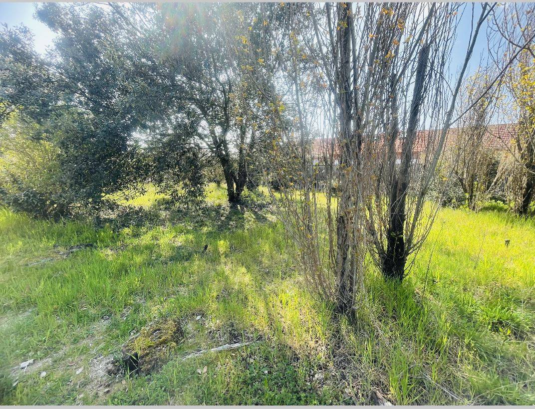 À vendre : terrain à bâtir de 410 m² proche de l'océan à Biscarrosse Plage