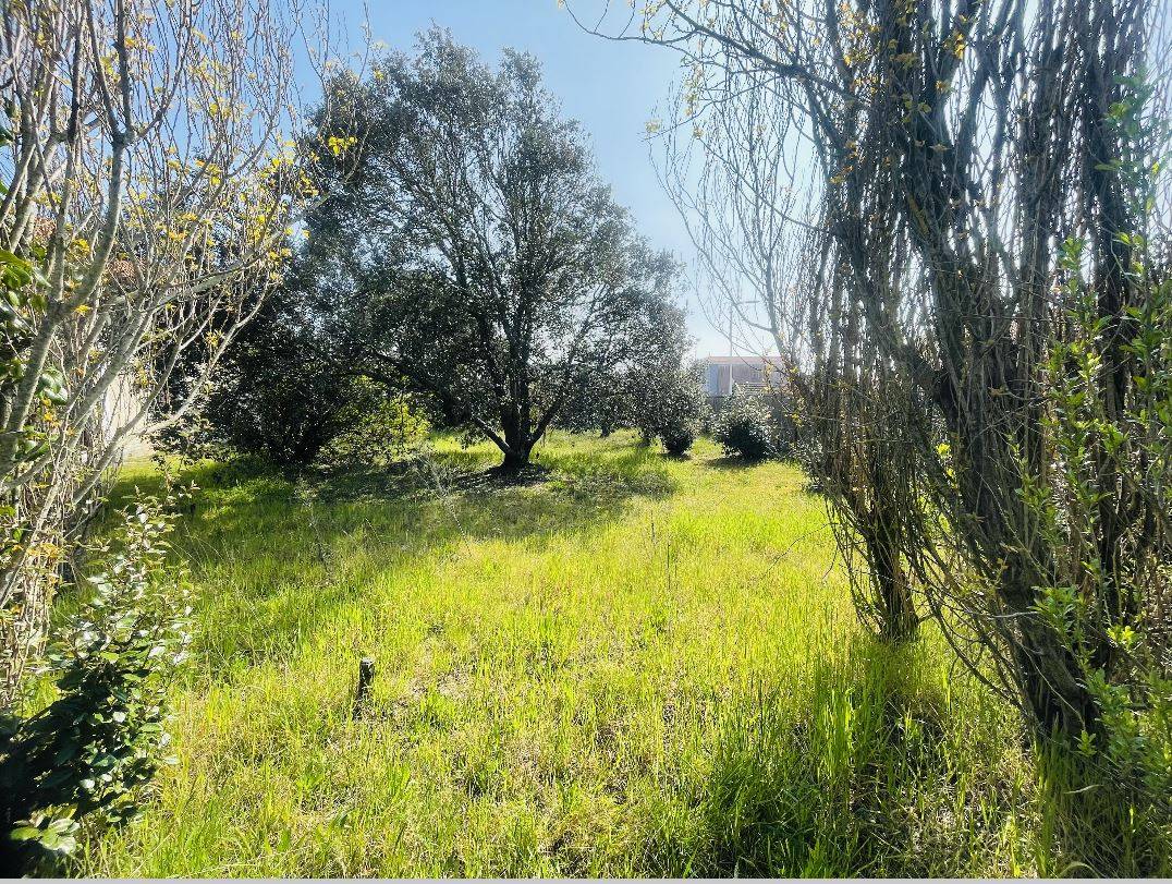 À vendre : terrain à bâtir de 410 m² proche de l'océan à Biscarrosse Plage