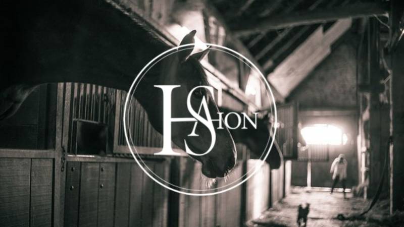 Ecurie de propriétaire et valorisation de chevaux en Gironde Haras de Saint Ahon