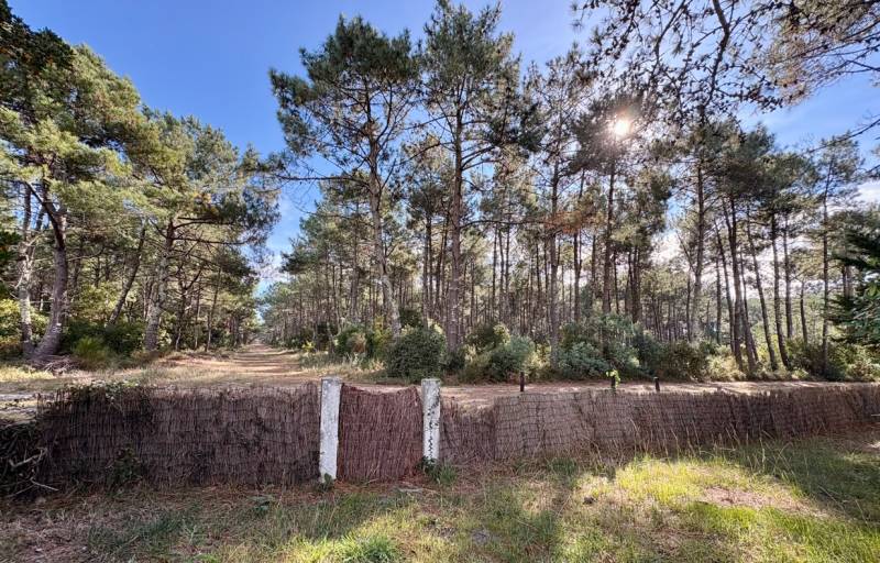 Maison avec 4 chambres face à la forêt de Biscarrosse Plage