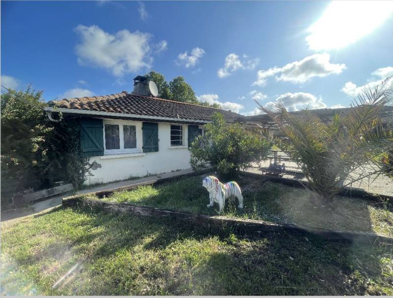 Maison de pays de plain pied à vendre avec 3 chambres sur un grand terrain à Biscarrosse Bourg