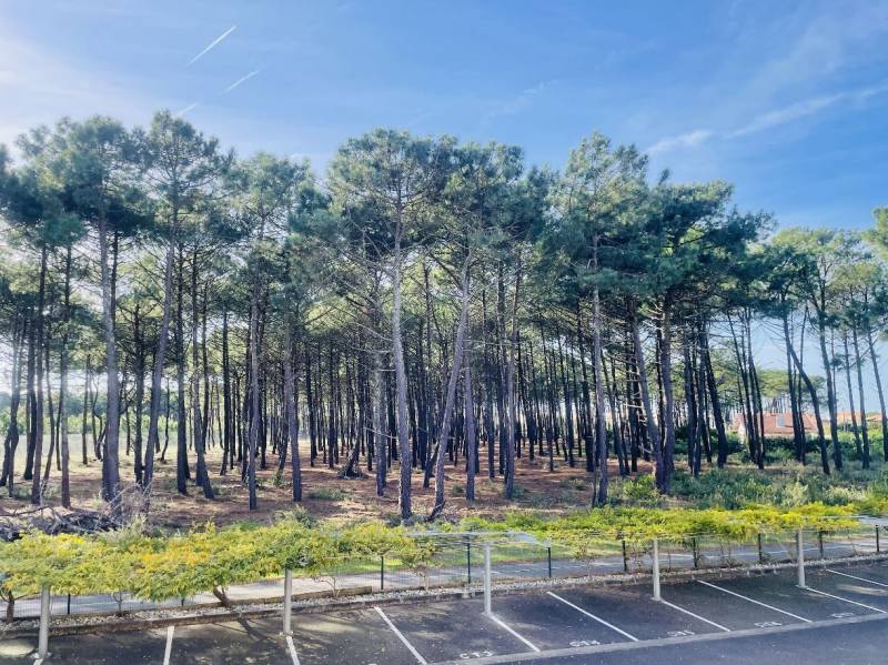 Appartement T3 Duplex 69 m2 avec piscine